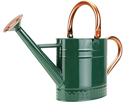 Megawodar 1 Gallon Metal Watering Can with Removable Spout, Nice Galvanized Steel Water Can with Embossed Design for Indoor and Outdoor Plants
