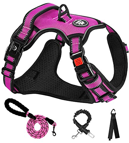 NESTROAD Hundegeschirr Kleine Hunde Rose Rot, Anti Zug Geschirr Gepolstert Brustgeschirr für Kleine Hunde, Größe S Halsumfang 28~38CM Brustumfang 38~53CM, Reflexstreifen Brustgeschirr Hund
