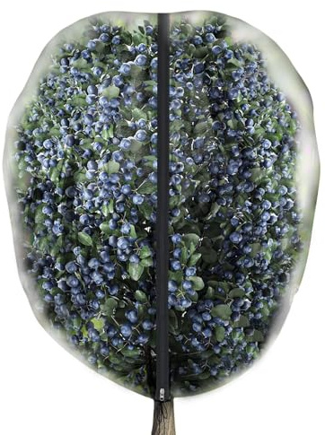 Filet de Protection pour Arbres Fruitiers,Couverture Maillée pour Myrtilliers | Filet Respirant Anti-Oiseaux Et Anti-Écureuils avec Fermeture Éclair pour Potager, Myrtilles, Tomates, Figues,