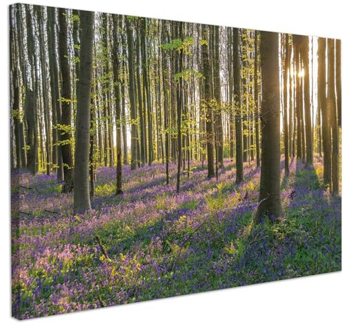 CHDITB Nature Forest Wall Art,Sunrise Forest Pictures Canvas Print,Nature Landscape Wall Painting,Trees Mountain Landscape Poster Decor,Woodland Framed Artwork for Living Room Bedroom