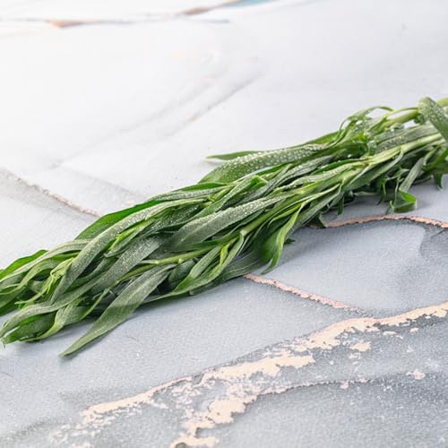 semi di dragoncello biologici, dragoncello cucina con orto selvatiche, medicinali rare, biologici 40pcs