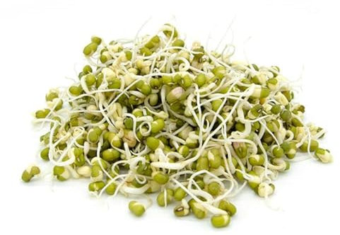 Italian Sprout - Semi per germogli - Fagiolo Mungo Isidoro - 200 gr.