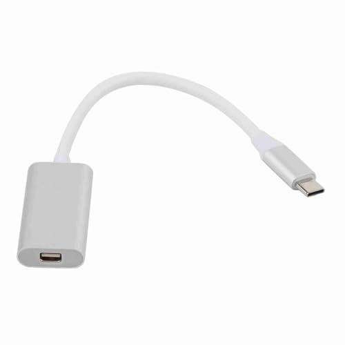 Aumotop Till Mini DisplayPort-adapter Aluminium Till Mini -omvandlare 10 Gbps Dataöverföring för Ny -skärm/TV (Silver)