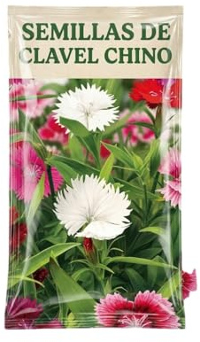 Jardinería de Primavera con Semillas de Clavel Chino para Macetas y Jardín Exterior | Planta Ornamental de Floración Colorida – DECOALIVE