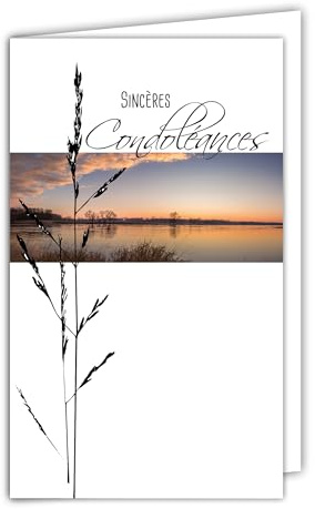 24-1005-B Carte Sincères Condoléances avec Enveloppe Blanche 10x16,5cm - Lac Étang Coucher du soleil Arbre Automne Hiver Moderne Contemporain Design Épuré Bleuté Gris Argenté Brillant Deuil Décès