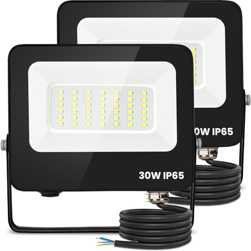 Aigostar Foco Led Exterior 30w 2450 lúmen,Luces Led Exterior Impermeable IP65,Proyector LED Exterior Blanco Frío 6500K para Jardín,Patio,Garaje,Parque, 2 piezas