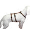Hoffmann No Exit ausbruchsicheres Hundegeschirr für Angsthund, Sicherheitsgeschirr für Pflegehunde, Panikgeschirr, braun mit beigen Pfötchen, Bauchumfang 60-80 cm, 25 mm Bandbreite