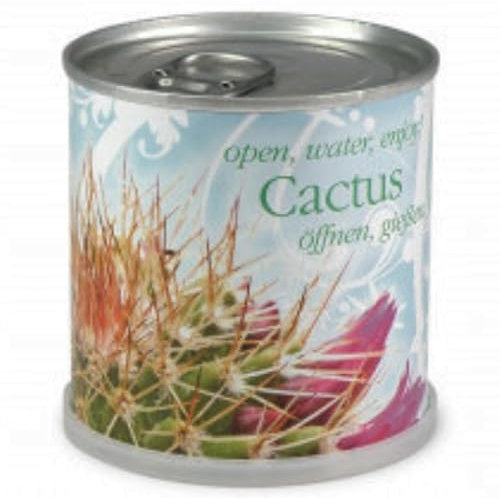 Cactus Prêt à pousser en canette