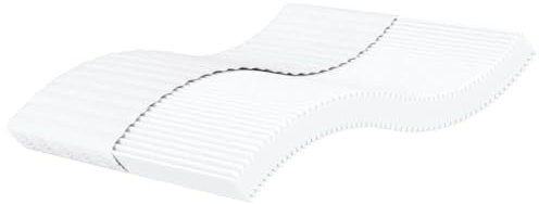 vidaXL Materasso in schiuma fredda, 200 x 220 cm, durezza H2 H3