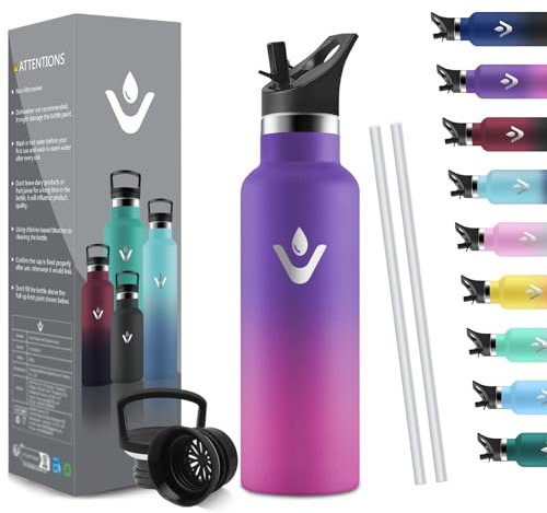 HoneyHolly Thermos Flask, 500 ml, BPA-Free, Stainless Steel, Leak-Proof Insulated Flask, Double-Walled, Children's Stainless Steel, with Straw, Suitable for Carbonated Drinking Bottle