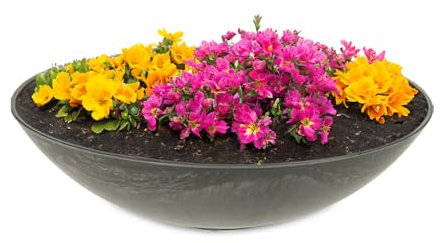 matches21 HOME & HOBBY Fioriera resistente alle intemperie, per esterni, in 25 cm, colore nero marmorizzato come fioriera – Ciotola decorativa