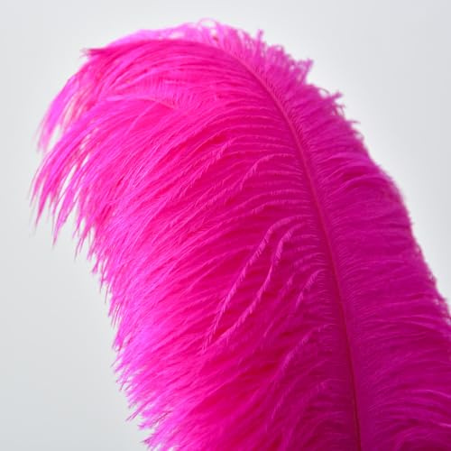 QBilooty 10 Pezzi Piume di Struzzo Decorative, per Abiti, la Decorazione della Casa e del Matrimonio, Vasi DIY, Lunghe (Fucsia)