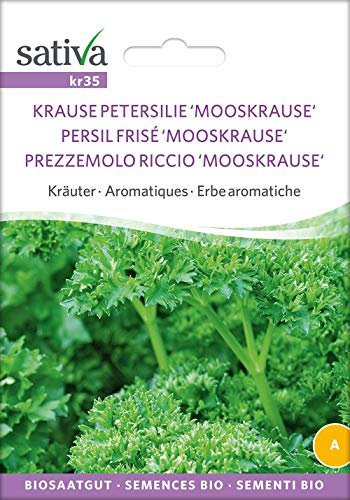 Sativa Rheinau kr35 Mooskrause (Krause Petersilie) (Bio-Petersiliensamen)