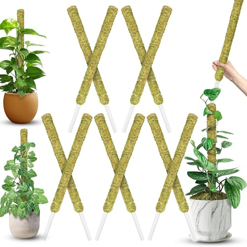 DUSPRO Naturlig stapelbar mossstång för Monstera och inomhusväxter – utdragbara växtinsatser, klättervinsstöd spaljé – 10 st, 22 tum