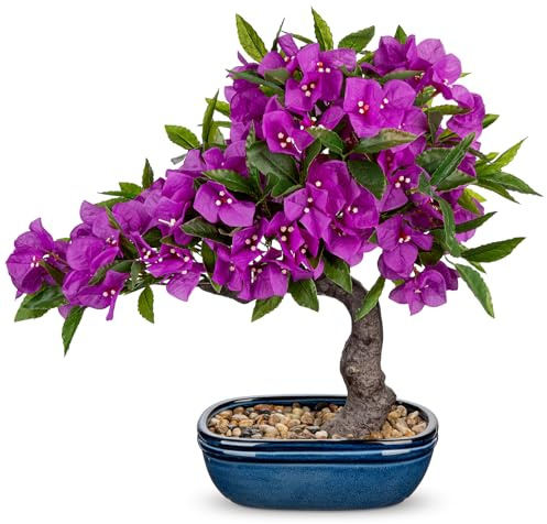 Briful Artificial Bougainvillea Bonsai Tree 18.5 Silk Bougainvillea Plant with Blue Pot Fake Bougainvillea Floral Tree for Home Office Room Desk Shelf Zen Décor(Purple)