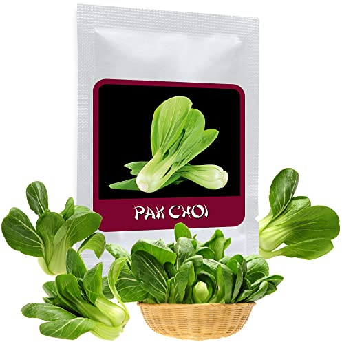 Asian Salad Pak Choy 100 Seeds (Brassica rapa) - the perfect vegetable for Asian cuisine