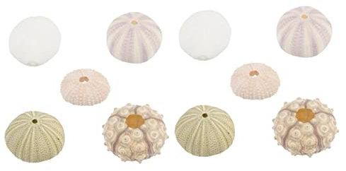 EXAOMBLE 2sets Realistische Meer Aquarium Ornamente Meer Ornamente Für Desktop Dekorationen 5 Stücke * 2