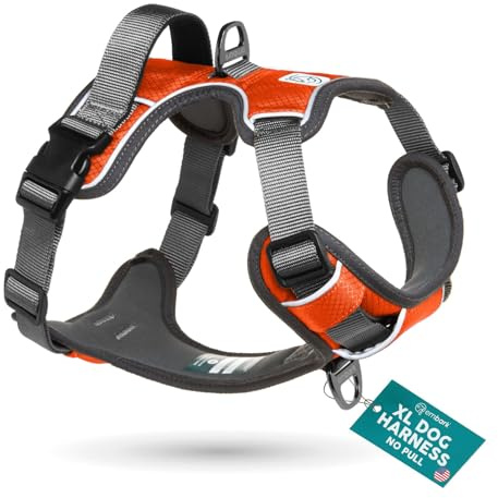 Embark Adventure Harnais Facile à Enfiler/Retirer avec Attaches pour Laisse Avant et arrière et poignée de contrôle Pas de Traction ni étranglement Taille réglable