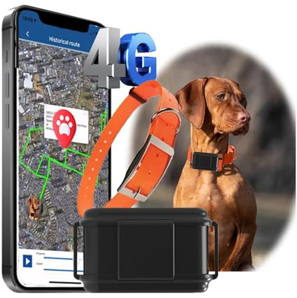 Zeerkeer 4G GPS Cani da caccia Tracker senza ABO localizzazione dal vivo in tutto il mondo, impermeabile Collare per cani con ricerca di animali domestici grazie alla luce e al suono e al dispositivo
