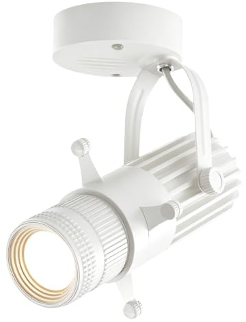 Faretto a Forma di Apertura Regolabile, Led COB Plafoniera o Parete Montaggio Superficie Lampada Accent per Concerto Museo Arte Galleria Mostra, Bar Ristorante Luci Direzionali Bianco 15W 3000K