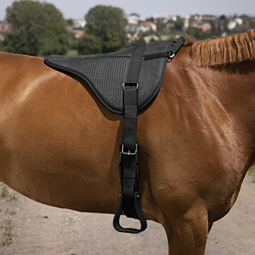 Equithème Tapis de Monte à cru Norton - Noir - Cheval