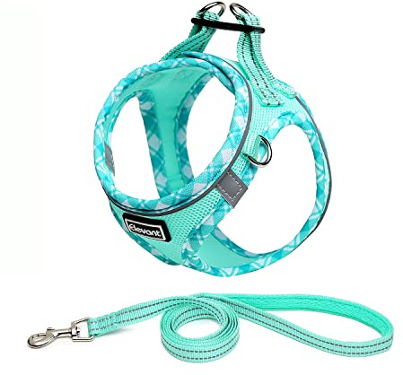 Elevant Pettorina Cane Taglia Piccola, Step-in Pettorina per Cani Gatti Cuccioli con Guinzaglio Comodo, Riflettente Traspirante Imbracatura Cane Morbida Imbottito per Passeggiate (M, Verde Chiaro)