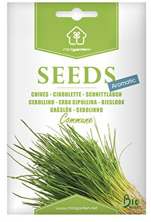 Bio-Schnittlauch-Samen von Minigarden – 100% natürlich, GVO-frei, bereit zur Aussaat – 1600–2000 Samen, reproduzierbar