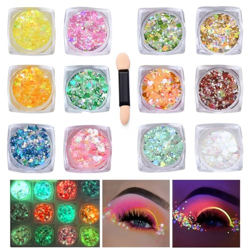 12 Farben Glitzerpulver Set, Festival Glitzer Gesicht, Body Glitter für Gesicht Nägel Augen Haare, Körperglitzer Zubehör, für Make-up, Nagelkunst, Party, DIY, Musik Festival