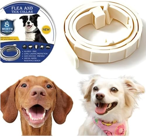 Collar Antiparasitario para Perros Protección contra Pulgas, Garrapatas y Leishmaniosis, 8 Meses de Duración, Seguro, Sin BPA, para Perros Pequeños y Grandes (Blanco)