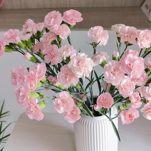 Nelken Samen Winterhart Mehrjährig, samen zimmerpflanzen Bartnelken Samen, Nelkensamen, balkon deko blumenwiese samen mehrjährig winterhart blumenwiese samen wildblumensamen 400pcs