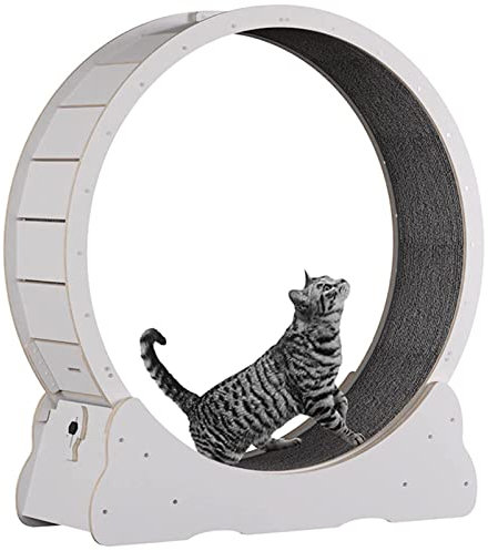ExoticaBlend Katzenlaufrad Laufrad für Katzen, Laufrad Katze, Laufband mit Teppichboden, Katzenrad Fitnessgerät zur Gewichtsabnahme, für EIN längeres Leben der Katze,White-S