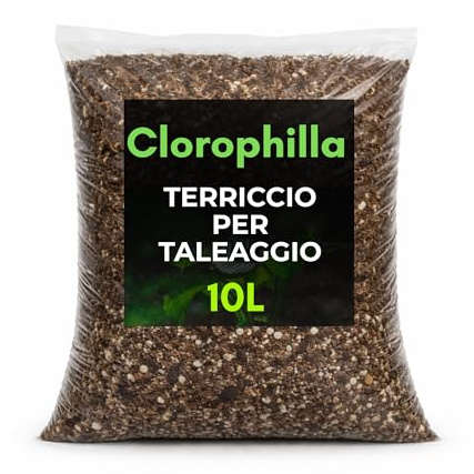 Terriccio Professionale per Taleaggio e Radicazione – Mix Drenante e Arieggiato con Torba Fine, Fibra di Cocco e Pomice 2–4 mm (10 Litri)