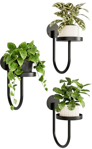 Bamworld Blumenständer Wandmontage 3er Set – U-Form Pflanzenregal aus Metall für Wohnzimmer & Balkon, Hängender Wand Blumentopfhalter, Schwarz