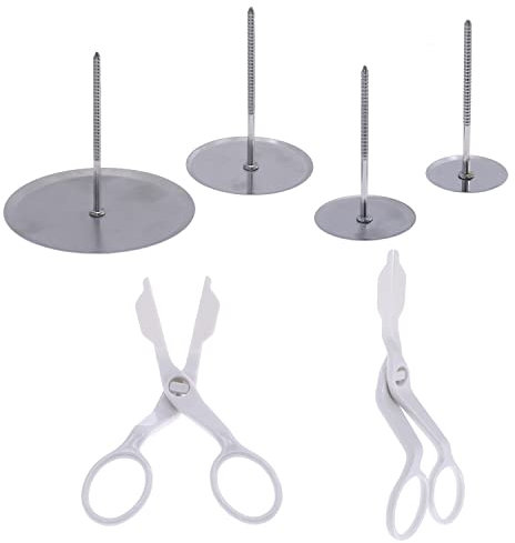 DBOO Cake Flower Nail and Flower Lifters Set - 6 Pcs Piping Flower Scissors & Flower Nail Tool Kit, Stainless Steel Cake Cupcake Decor Baking Tools for Cake Icing Flowers Decoration (4 Sizes)