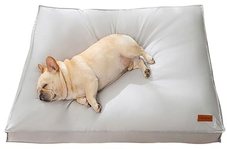 PETCUTE Cuccia Cane Interno Taglia Grande, Cuscino Cane Impermeabile con Sfoderabile e Lavabile, Letto per Cani Ortopedico con Base Antiscivolo,Cuccia Divano per Cani,Lavabile in Lavatrice