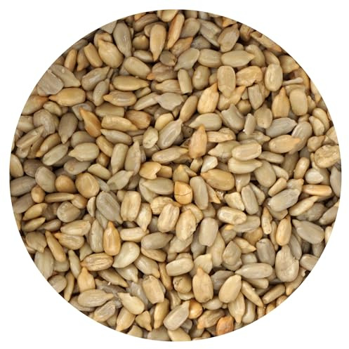 Sunflower Seeds Roasted and Unsalted, 2 Pound Bag, Sunflower Seeds No Shell, 32 Ounce Bulk Bag