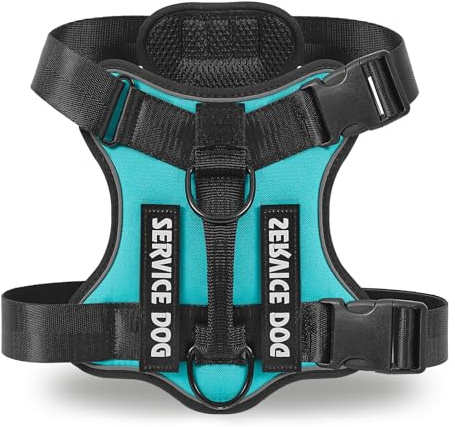 COMSLE Arnes Perro Grande Mediano Pequeño sin Tirones, Arnes Antitirones Antiescape Perro Ajustable Reflectante, Peitoral para Cão Transpirable, Turquesa, XS