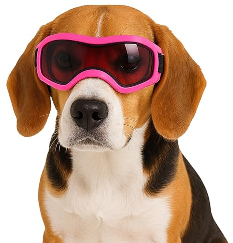 Fohuanky Hundglasögon för små och medelstora raser justerbara husdjur solglasögon med UV-skydd hundglasögon för resor vandring utomhus kul (rosa, M)