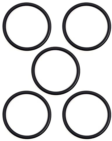 O-Ring Dichtung 15601070 kompatibel mit Kaffeemaschine ESE44 DDIESSE Frog, Faber, La Piccola, Grimac, Union Group - BSSTORE (5)