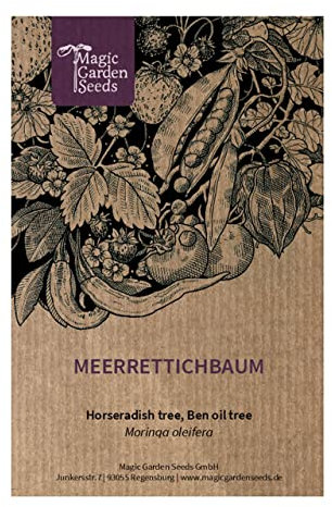 Moringa oleifera (Moringa oleifera) - circa 10 semi