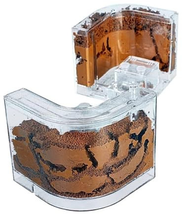 ZWQXZX Ameisennest Ameisenfarm Ameisenhaus Ameisenburg Mit Lehm Und Sand Gefüllte Ameisenfarm, Ameisennest, Lebensraum, Professionelle Ameisennestfarm Ameisen Terrarium Ameisen Zucht Box(2pcs)