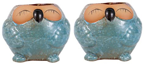 Supvox Blumentopfvase Pflanzendekor 2st Einmachgläser Blumen Kleiderbügel Schreibtischaufsatz Blumentopf