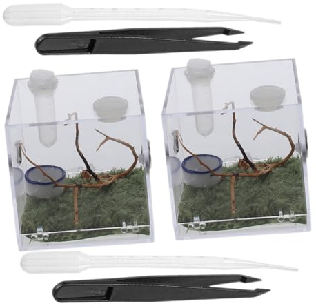 Hemobllo 2 Ensembles Boîte Élevage pour Araignées Sauteuses Acrylique Transparente avec Pinces et Pipettes Habitat pour Insectes et Reptiles Contenant Nourrisseur Pratique et Résistant
