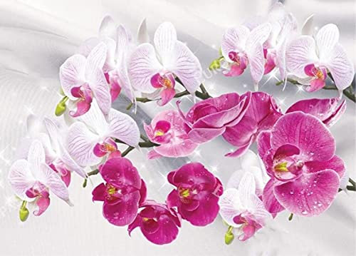 Ivpss 5d DIY Diamant Malerei Orchidee Bild Full Croareround Diamant Mosaik Harz Stickerei Crafts Home Decor Geschenkset 40x60cm NoFramed