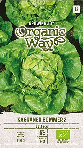 Organic Way | LATTUGA SOMMER 2 semi | Semi di ortaggi | 1 confezione