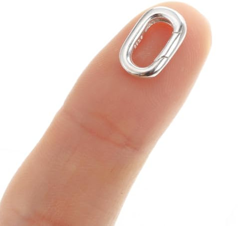 2 Stück Silber Schmuckverschluss Kettenverschluss Halskette Armband Verschlüsse Karabiner Ovaler Federtürverbinder Karabiner Kleine Ringverschluss für Herstellung von Schmuck Armbänder