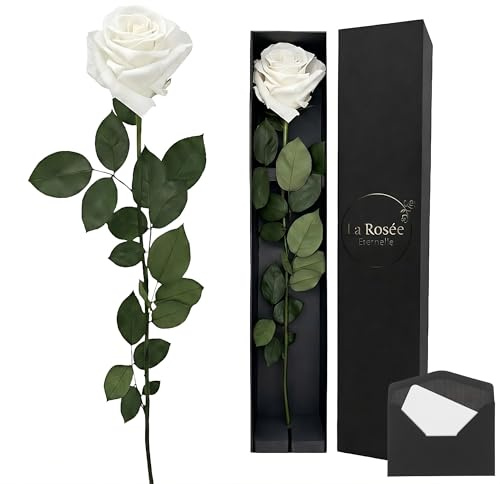 Rosa Eterna Natural con Tallo Largo – Rosa Preservada Perfumada de Ecuador – Regalo Original para Mujer, Pareja, Novia y Día de la Madre – Diseño Artesanal en España – Color White Angel
