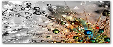 Tulup Impression sur Verre 125x50 cm Image Tableau Photo décorative panoramique pour la Cuisine et Le Salon - Fleurs et Plantes - Graines De Pissenlit - Multicolore
