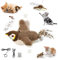 Interaktives Katzenspielzeug Elektrisch Selbstbeschäftigung , Katzenspielzeug Vogel Fliegt Elektrisch mit Katzenminze, Fliegender Vogel Spielzeug für Katzen, Flying Bird Cat Toy, Wiederaufladbar