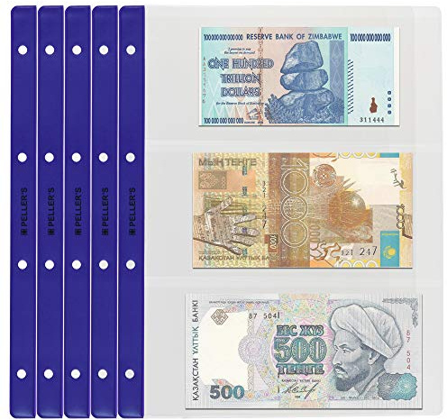 PELLER'S Banknotenhüllen - Briefehüllen für Sammelalbum XL. 10er Pack. (Modell XL: 3 Taschen 219 x 100 mm)